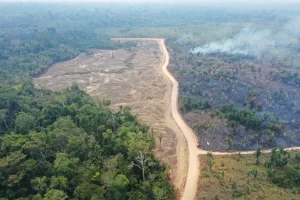 Foto aérea da região em observação pelo Observatório socioambiental de Rondônia. A foto apresenta um caminho de terra que divide a mata em seções. uma dessas seções sofreu desmatamento e está com aparência morta, outra seção apresenta uma queimada em andamento e é possível ver chamas e fumaça consumindo a mata. A imagem indica a importância do monitoramento feito pelo observatório e as drásticas consequências do desmatamento em rondônia.