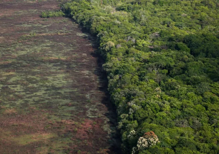 Desmatamento na Amazônia. Foto. Poder 360.