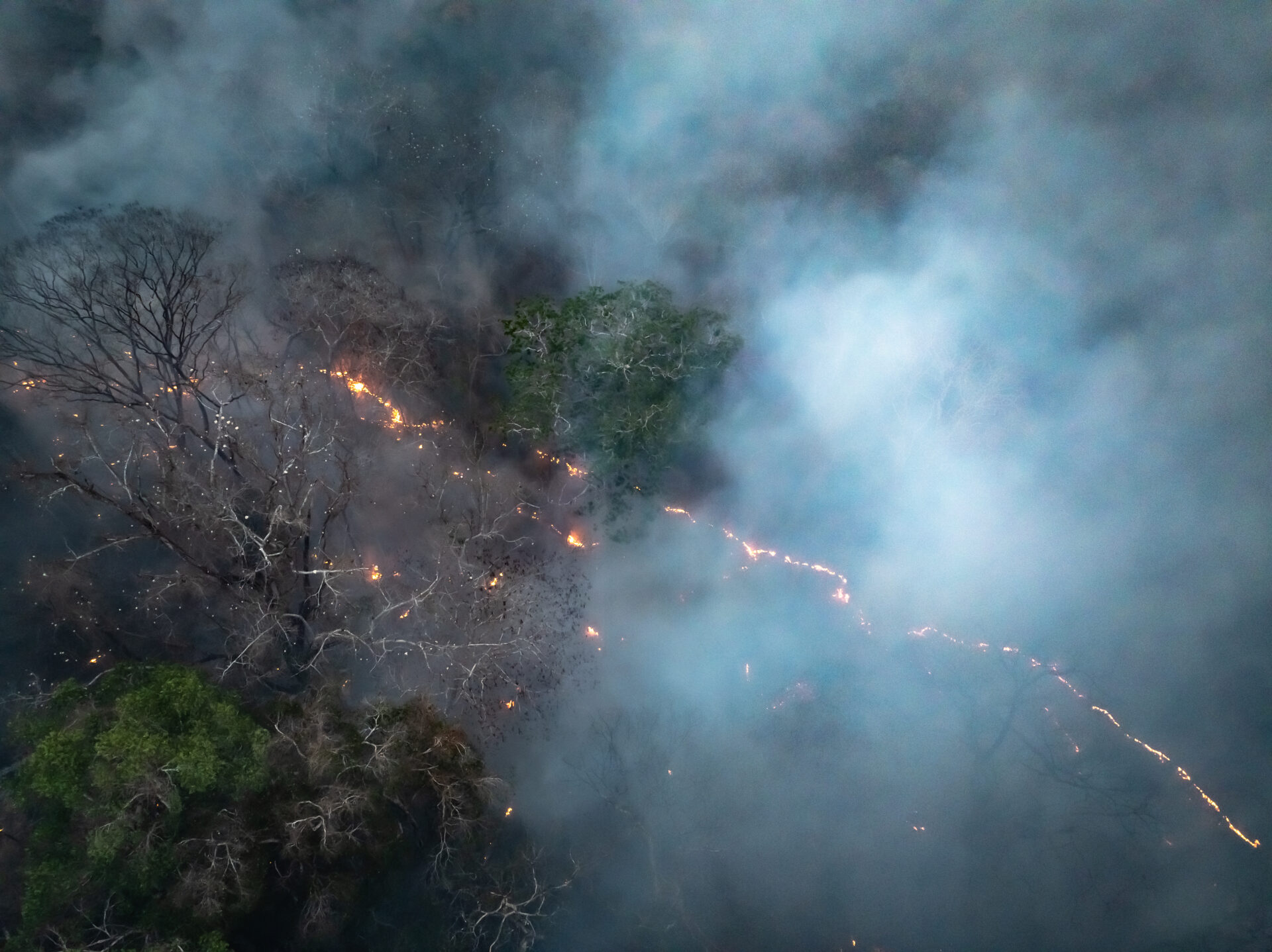 Incêndios: Terras indígenas em Rondônia estão sofrendo com o fogo