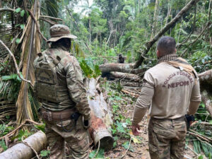 Operação para combate a crimes na Terra Indígena Igarapé Laje. Foto: Comunicação Social da Polícia Federal em Rondônia